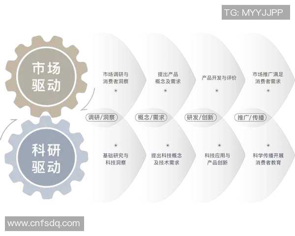 重磅专题：探索WE快攻革新背后的战略思维与实践路径